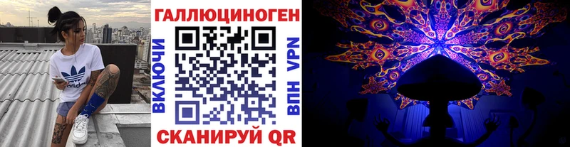 Псилоцибиновые грибы Psilocybe  Пущино 